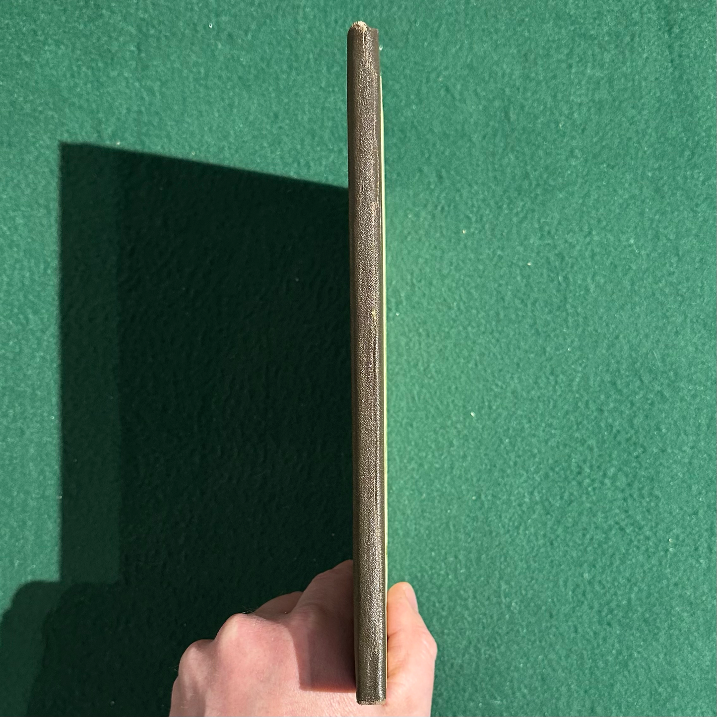 Vintage Poetry Hardback: Gwen Frostic - My Michigan