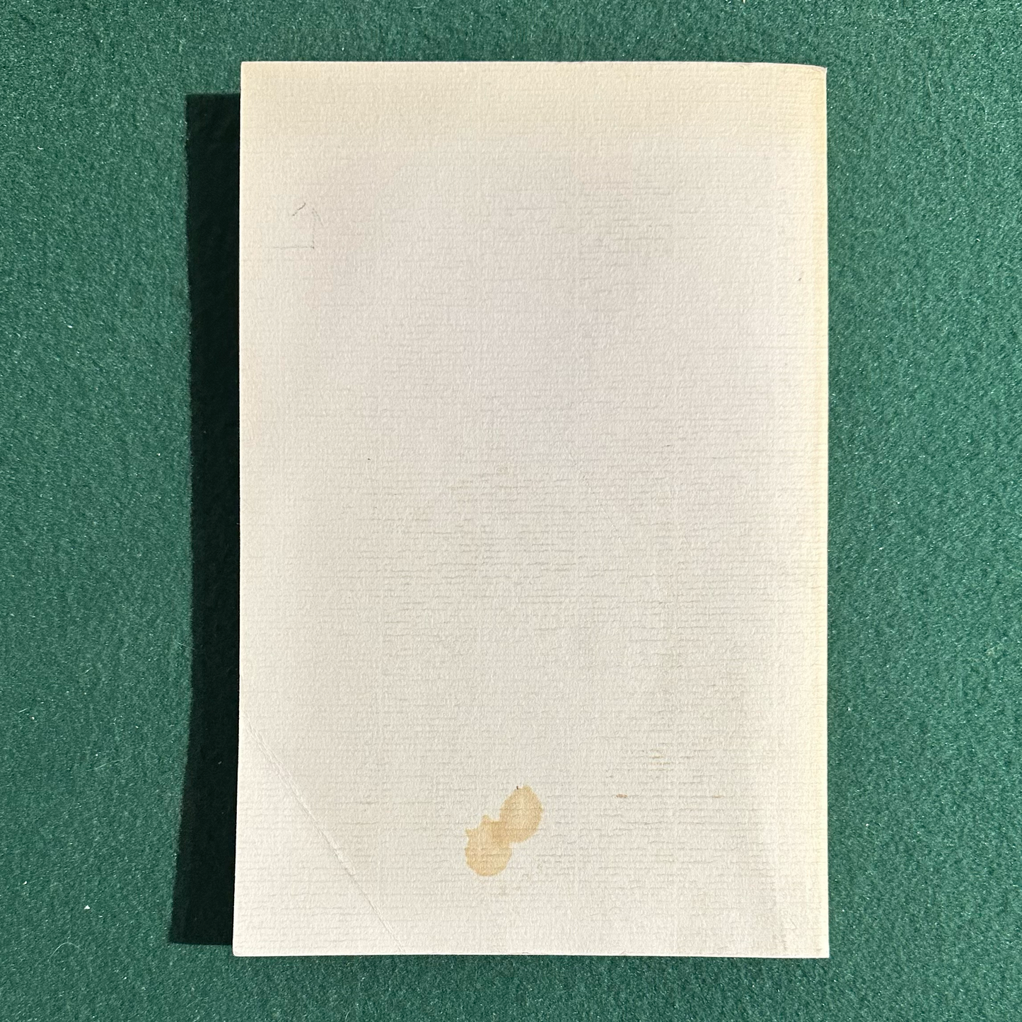 Vintage Poetry Paperback: Charles Bukowski - South of No North