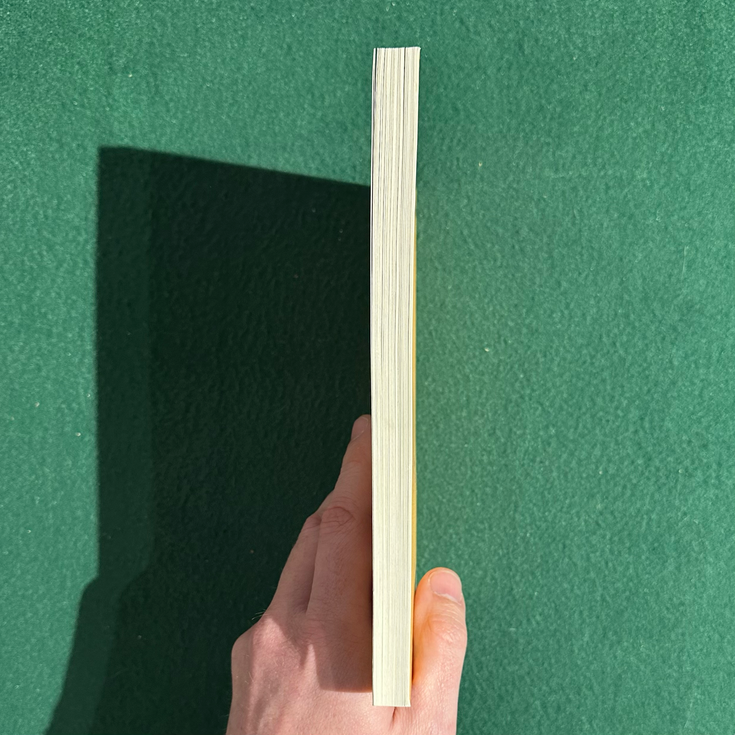 Fiction Paperback: John Fante - The Brotherhood of the Grape FIRST PRINT