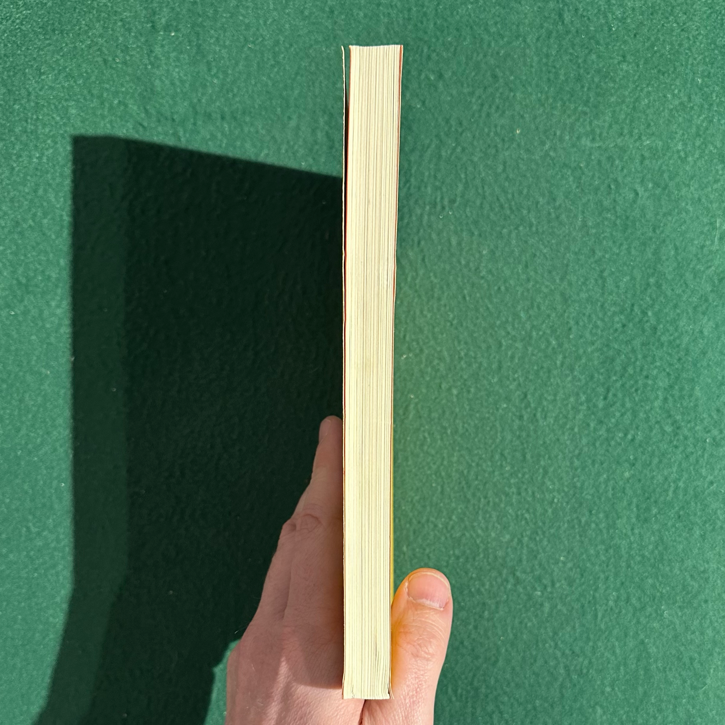 Fiction Paperback: John Fante & H L Mencken - A Personal Correspondence 1930-1952 FIRST PRINT