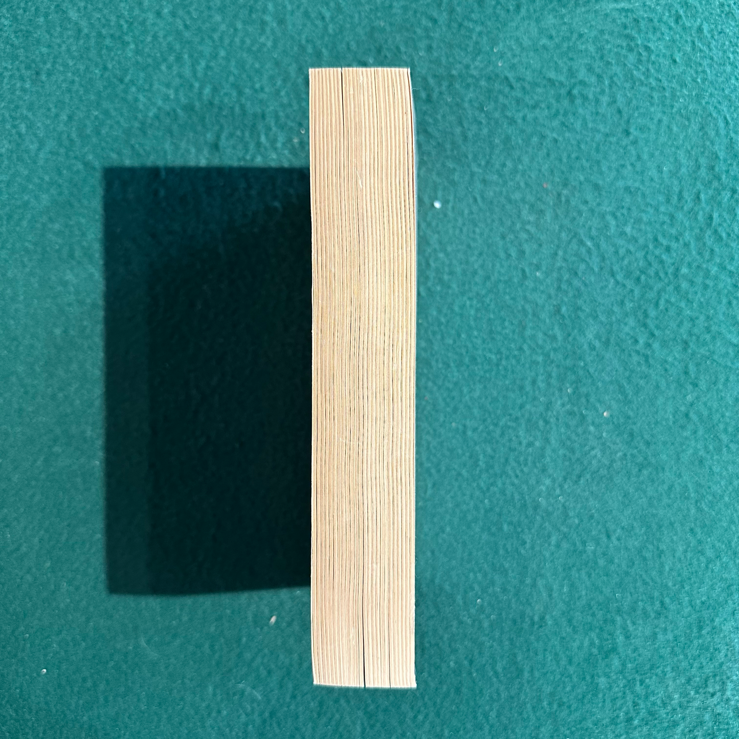 Vintage Non-Fiction Paperback: John Dollard - Caste and Class in a Southern Town