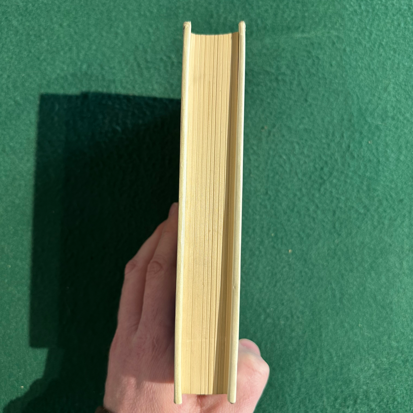 Vintage Non-Fiction Hardback: Wilhelm Hegel - Encyclopedia of Philosophy