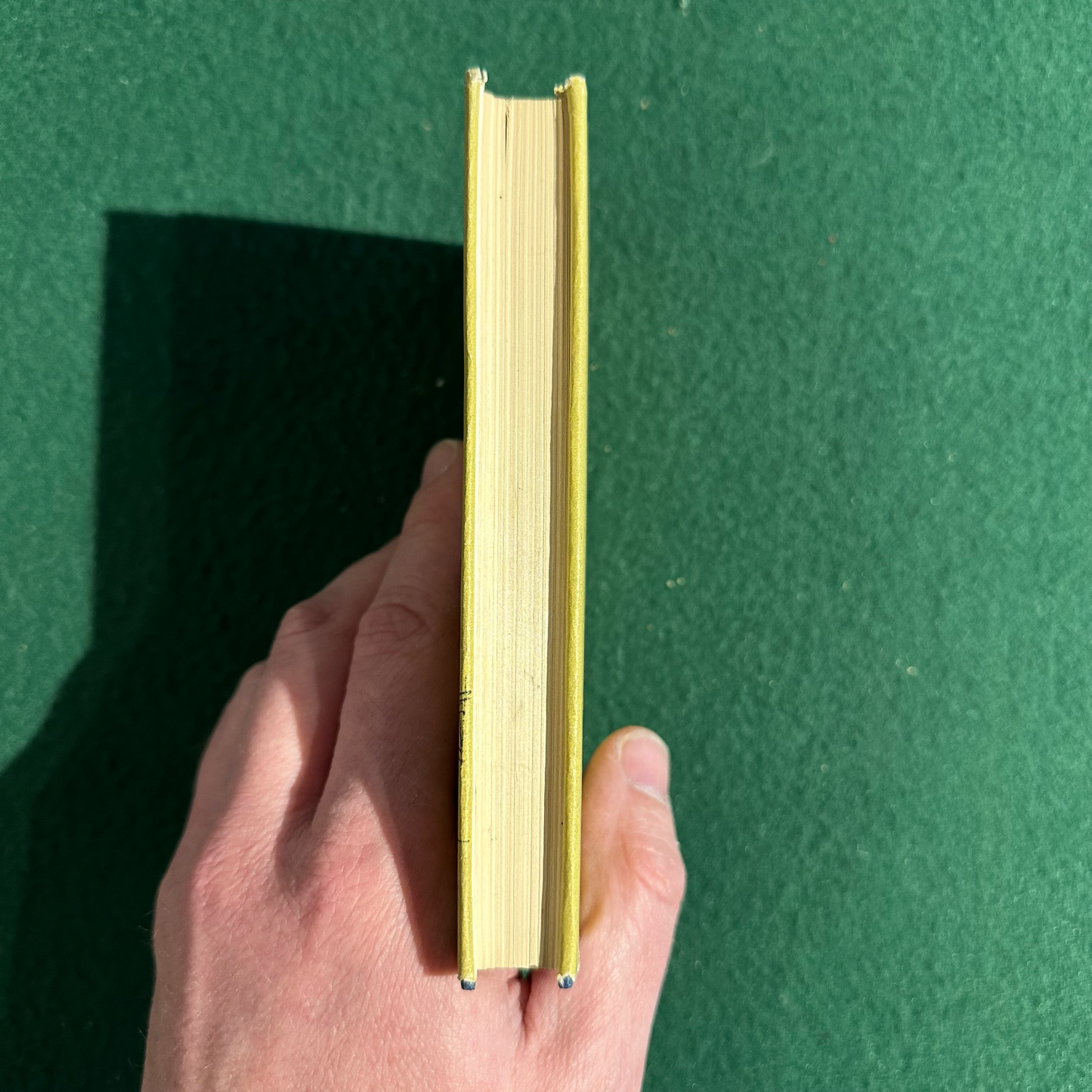 Vintage Non-Fiction Paperback: Mikhail Yurevich Lermontov - A Hero of Our Own Times