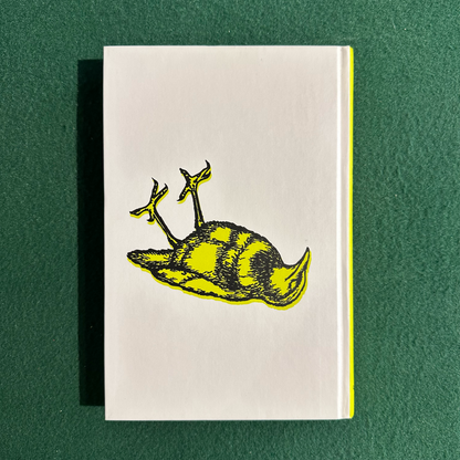Vintage Fiction Hardback: Chuck Palahniuk - Lullaby SIGNED FIRST EDITION