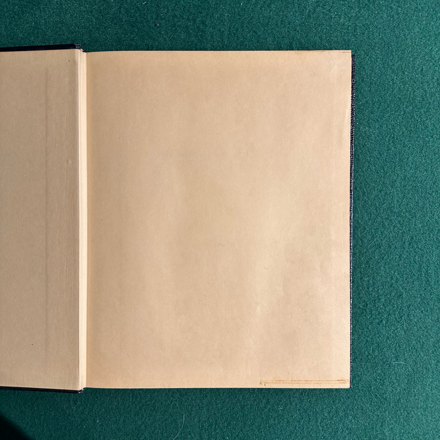Vintage Art Hardback: Holbein's Dance of Death UNNUMBERED LIMITED EDITION