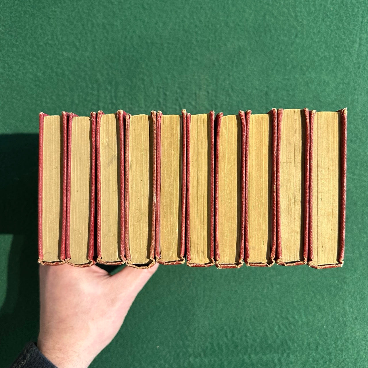 Antique Fiction & Poetry Hardbacks: The Works of Edgar Allen Poe in Ten Volumes, Cameo Edition 1904