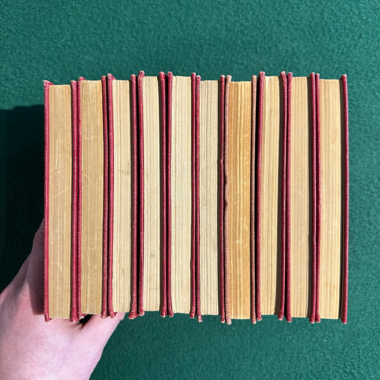 Antique Fiction & Poetry Hardbacks: The Works of Edgar Allen Poe in Ten Volumes, Cameo Edition 1904