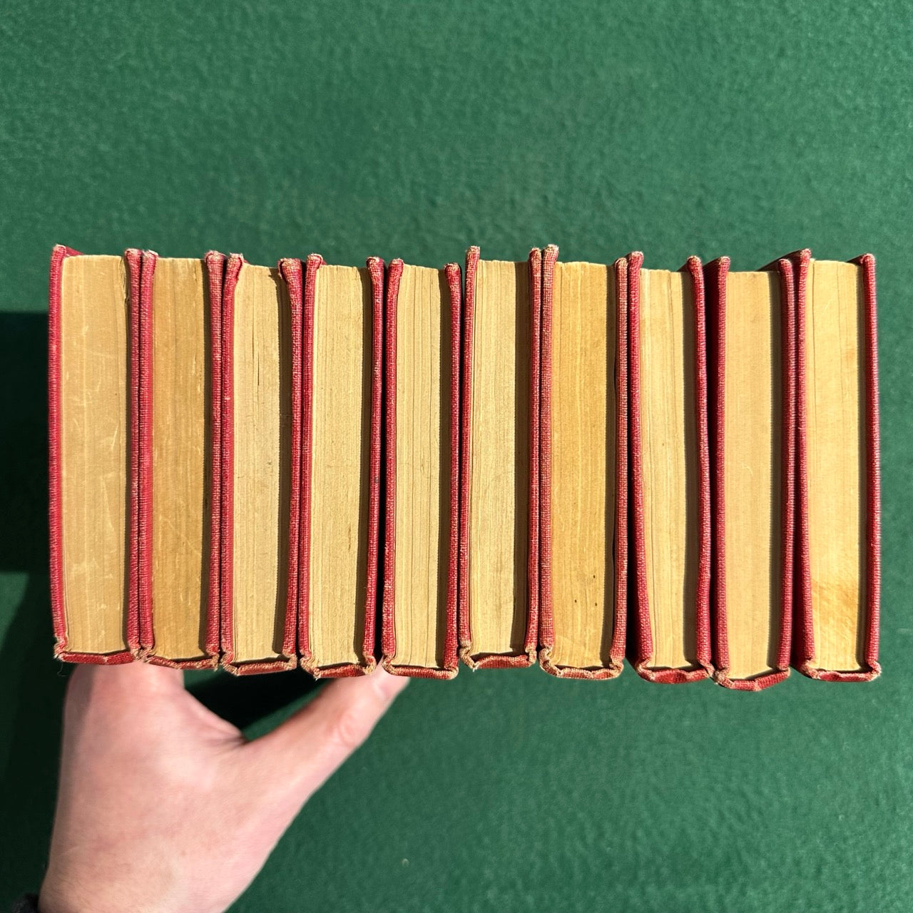 Antique Fiction & Poetry Hardbacks: The Works of Edgar Allen Poe in Ten Volumes, Cameo Edition 1904