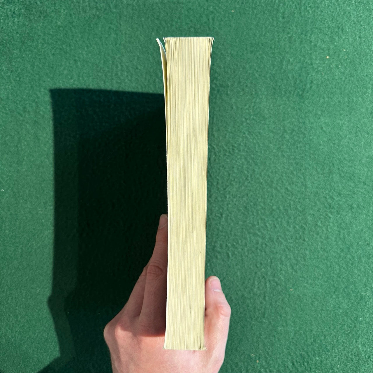 Non-Fiction Paperback: Queer Ecologies; Sex, Nature, Politics, Desire, Edited by Catriona Mortimer-Sandilands and Bruce Erickson SECOND PRINTING