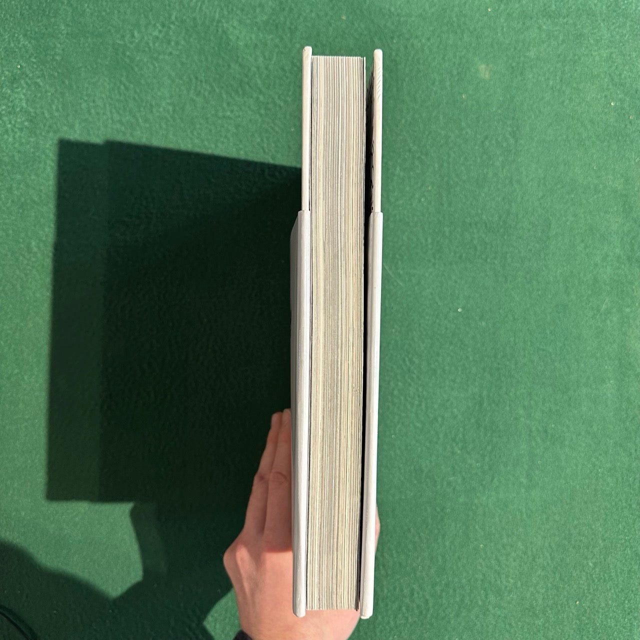 Art Hardback: One Man and His Dog - The Art of D*Face LIMITED EDITION