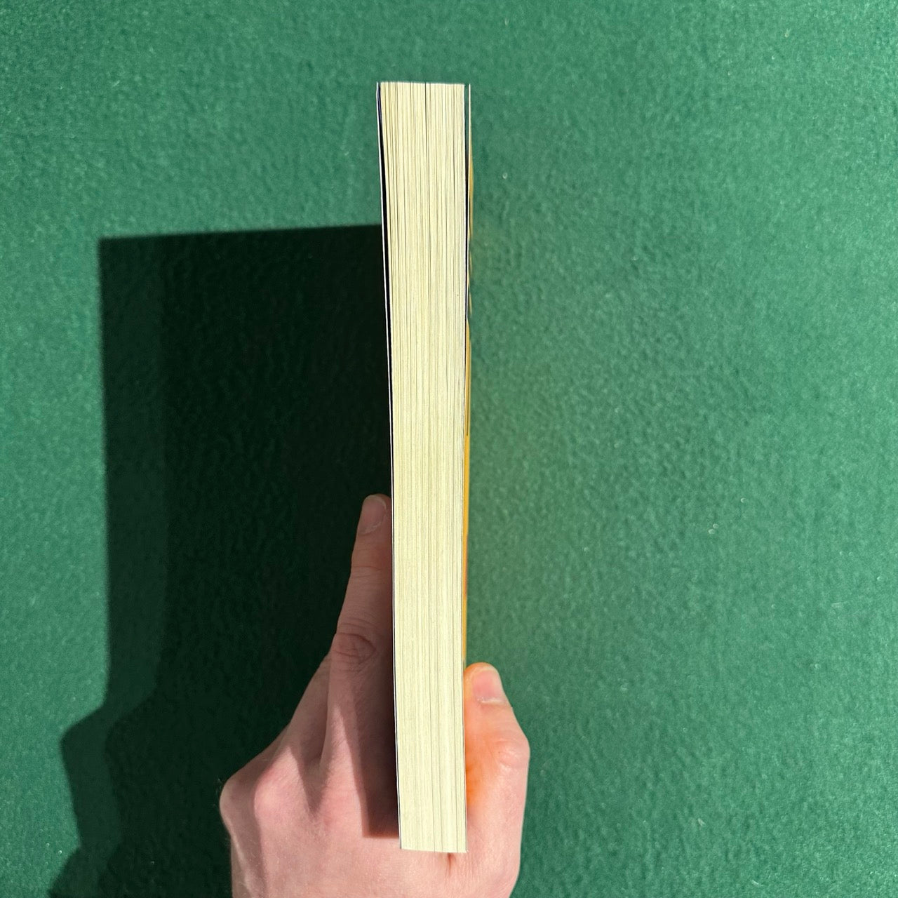 Vintage Poetry Paperback: Charles Bukowski - The Roominghouse Madrigals NINTH PRINTING