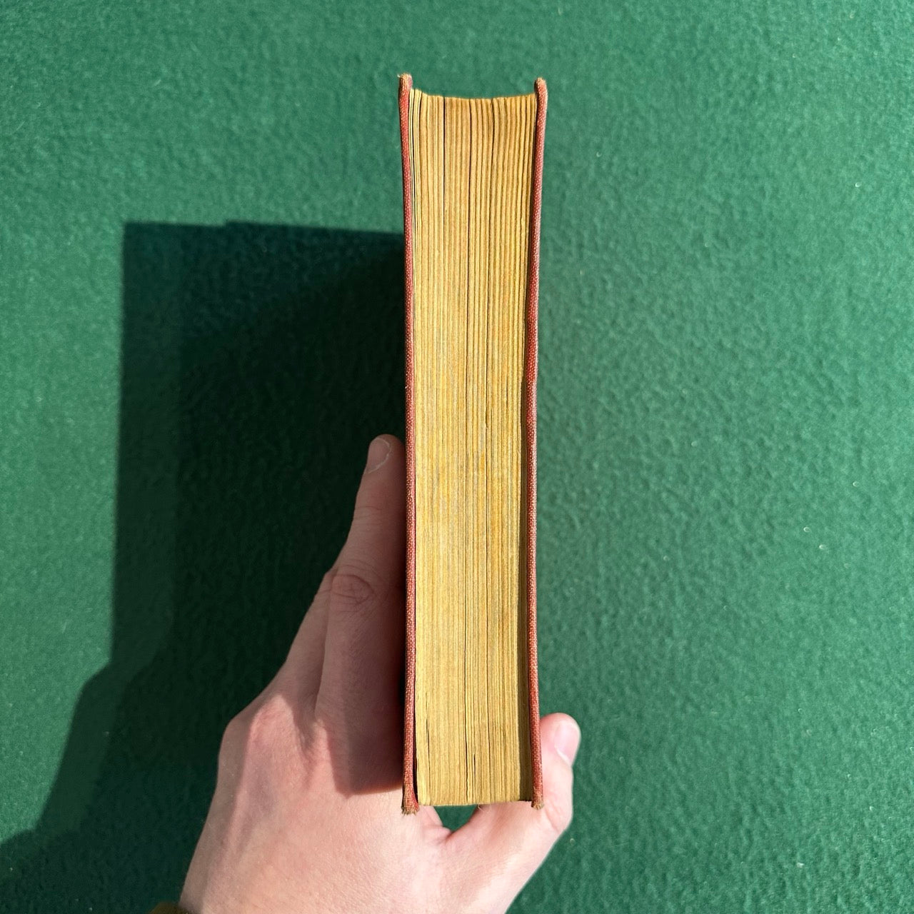 Vintage Fiction Hardback: Everett McNeil - The Lost Nation FIRST EDITION