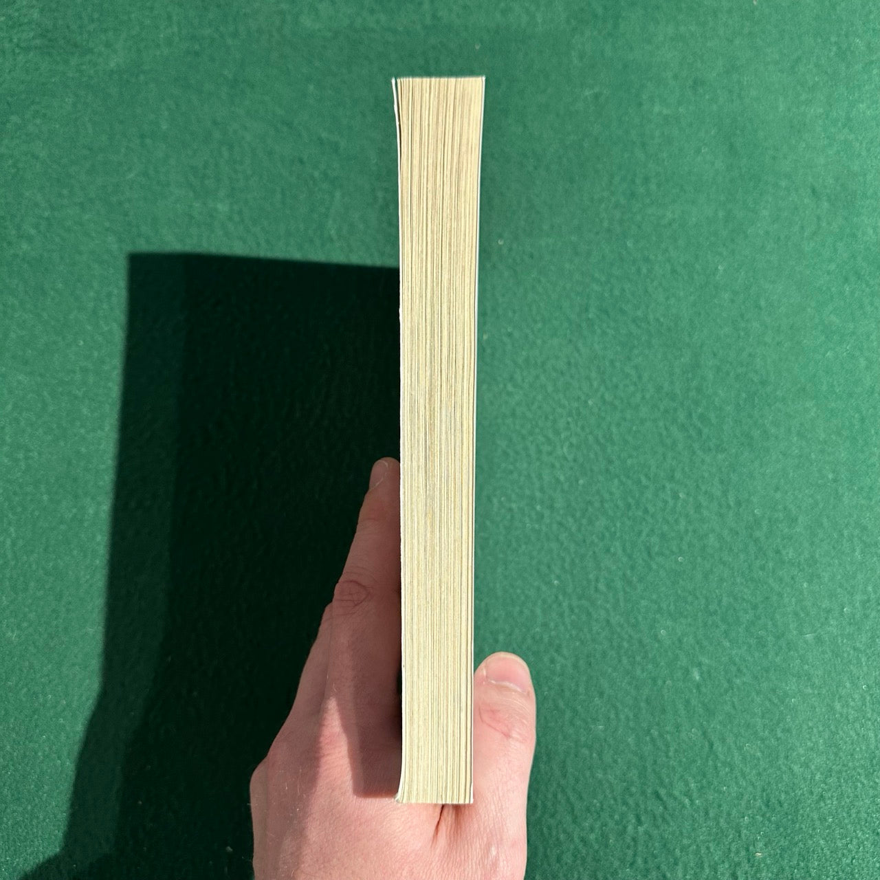 Fantasy Paperback: Melissa Albert - The Hazel Wood SIGNED UNCORRECTED MANUSCRIPT