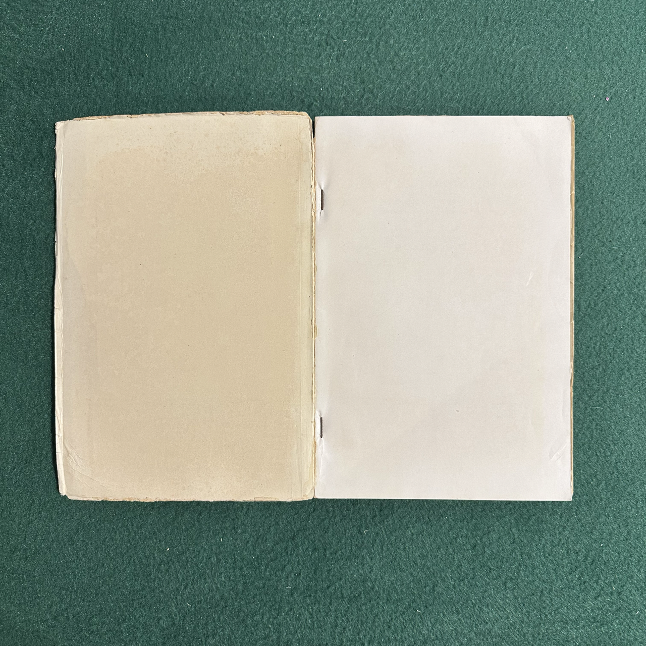Vintage Non-Fiction Paperback: Aldous Huxley - They Still Draw Pictures! FIRST EDITION