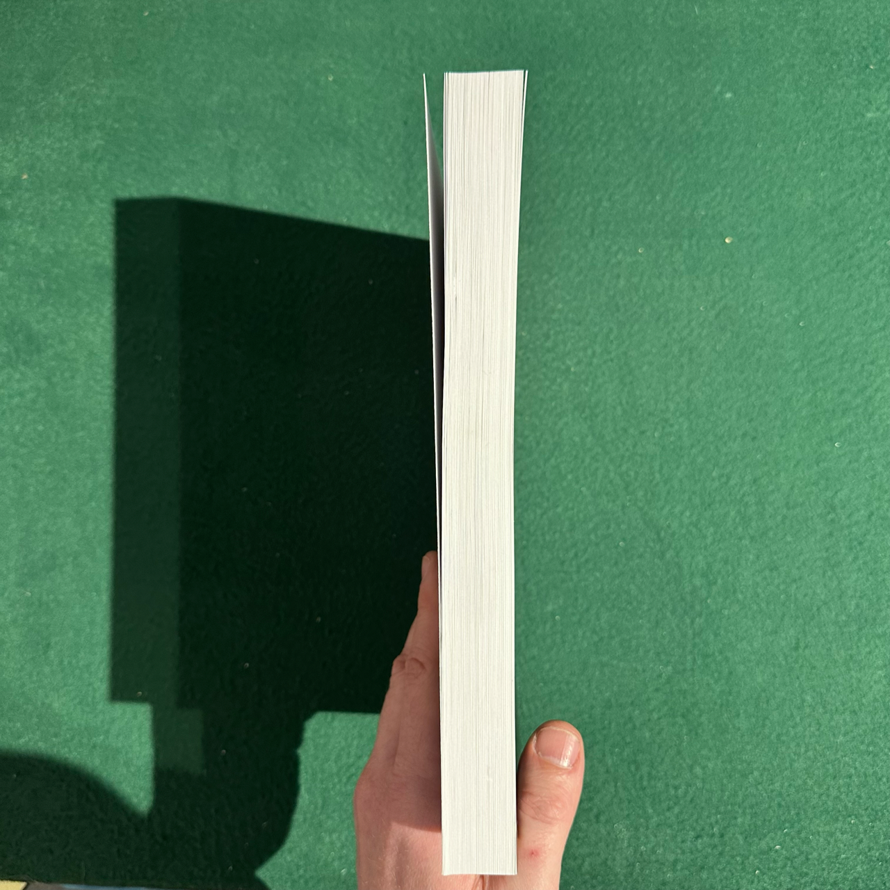 Fiction Paperback: Tracy R Twyman - Genuflect REPRINT