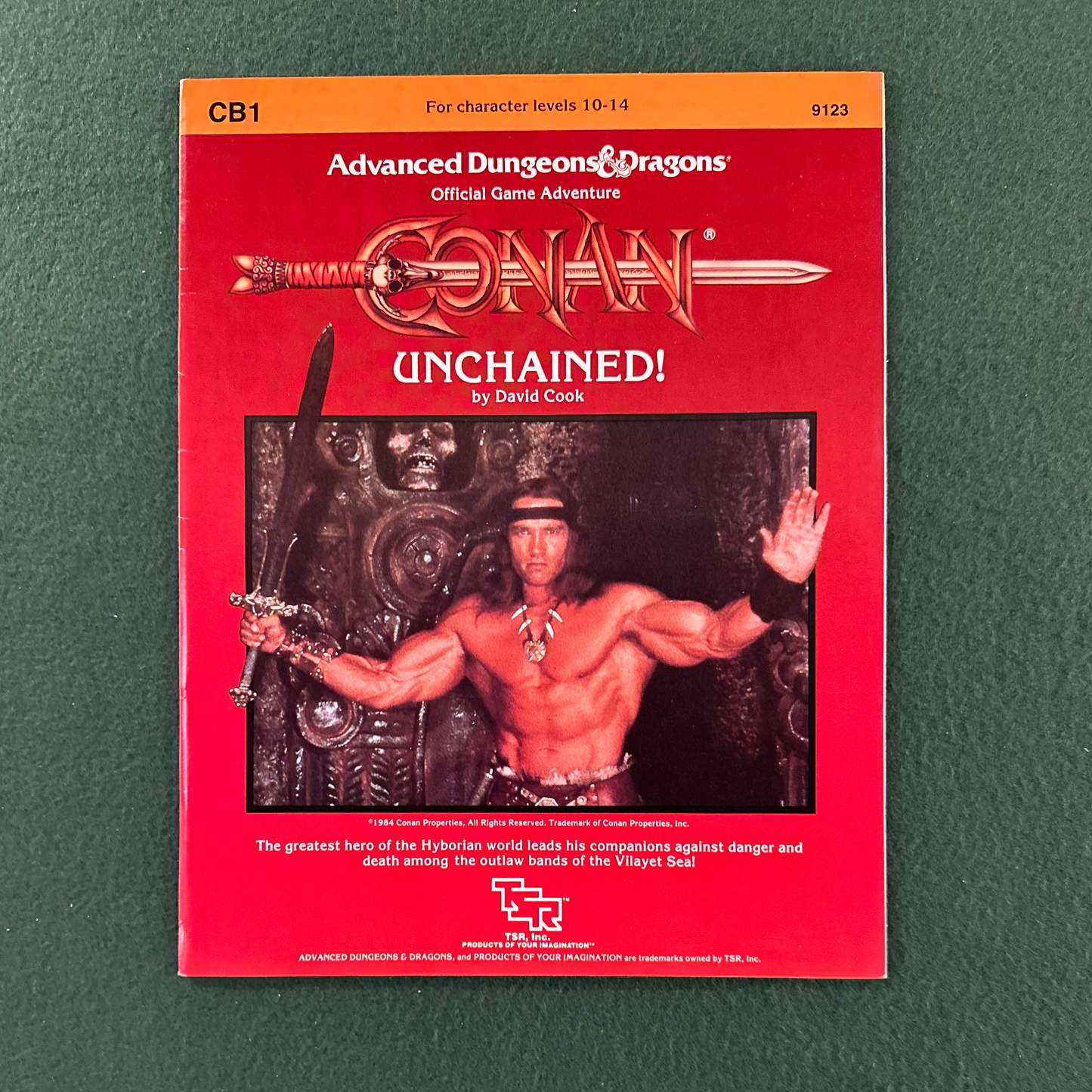 Vintage Dungeons & Dragons Game Book: David Cook - Conan Unchained