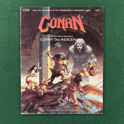 Vintage Dungeons & Dragons Game Book: Conan The Mercenary