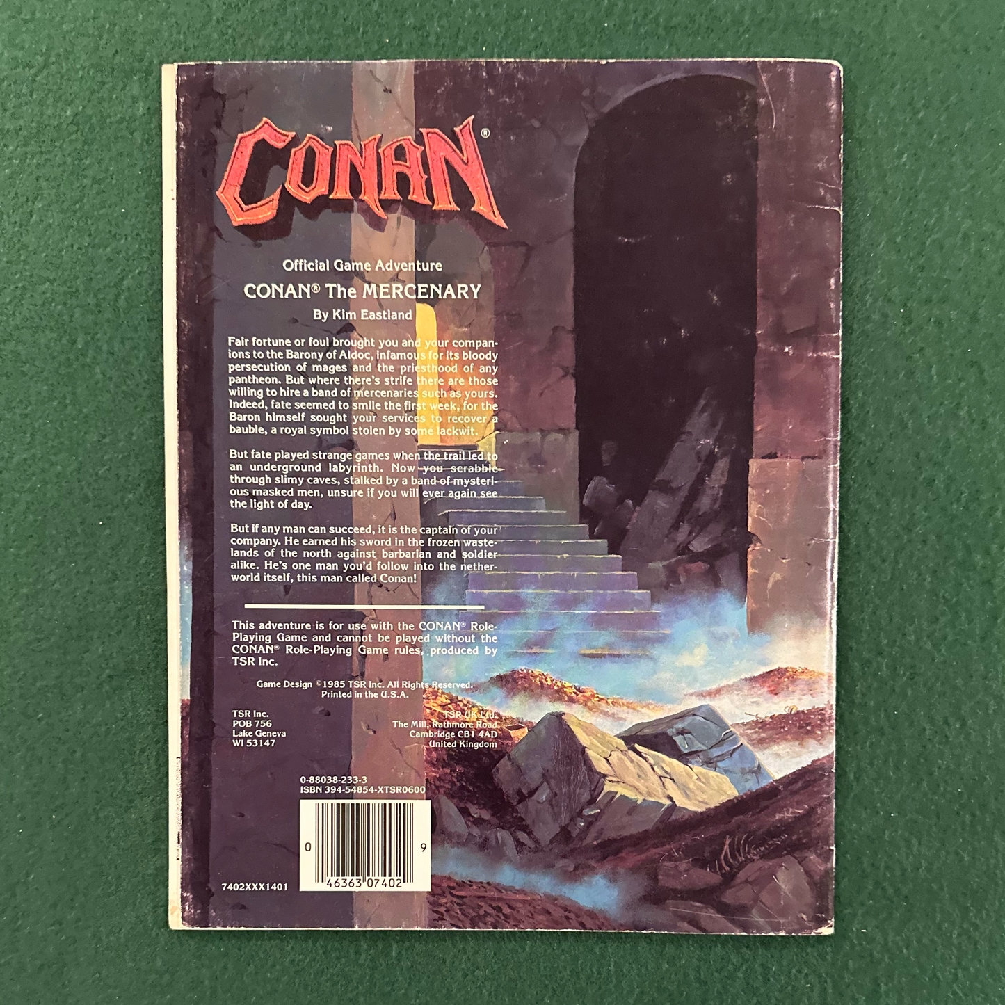 Vintage Dungeons & Dragons Game Book: Conan The Mercenary