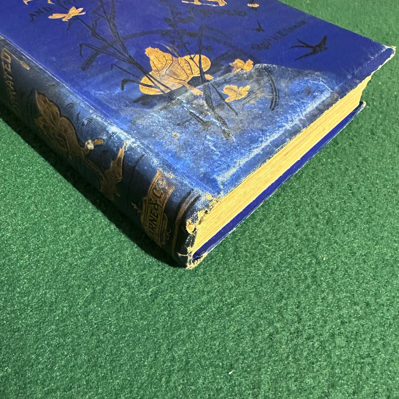 Vintage Fiction Hardback: H Escott-Inman - The Owl King and Other Fairy Tales FIRST EDITION