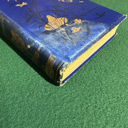 Vintage Fiction Hardback: H Escott-Inman - The Owl King and Other Fairy Tales FIRST EDITION