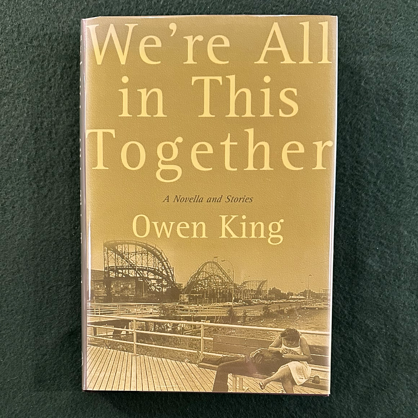 Fiction Hardback: Owen King - We're All in this Together SIGNED FIRST EDITION/PRINTING