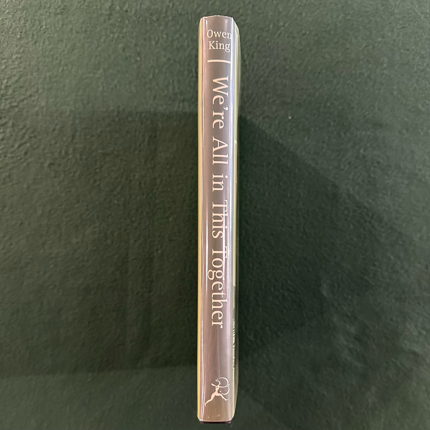 Fiction Hardback: Owen King - We're All in this Together SIGNED FIRST EDITION/PRINTING