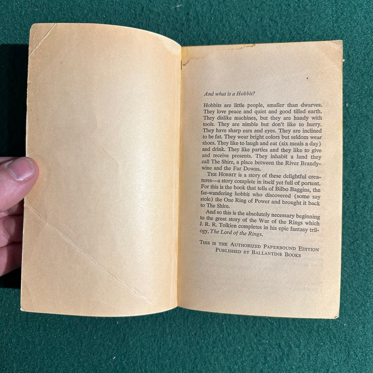 Vintage Fantasy Paperback: JRR Tolkien - The Hobbit, Lion Cover FIRST PRINTING