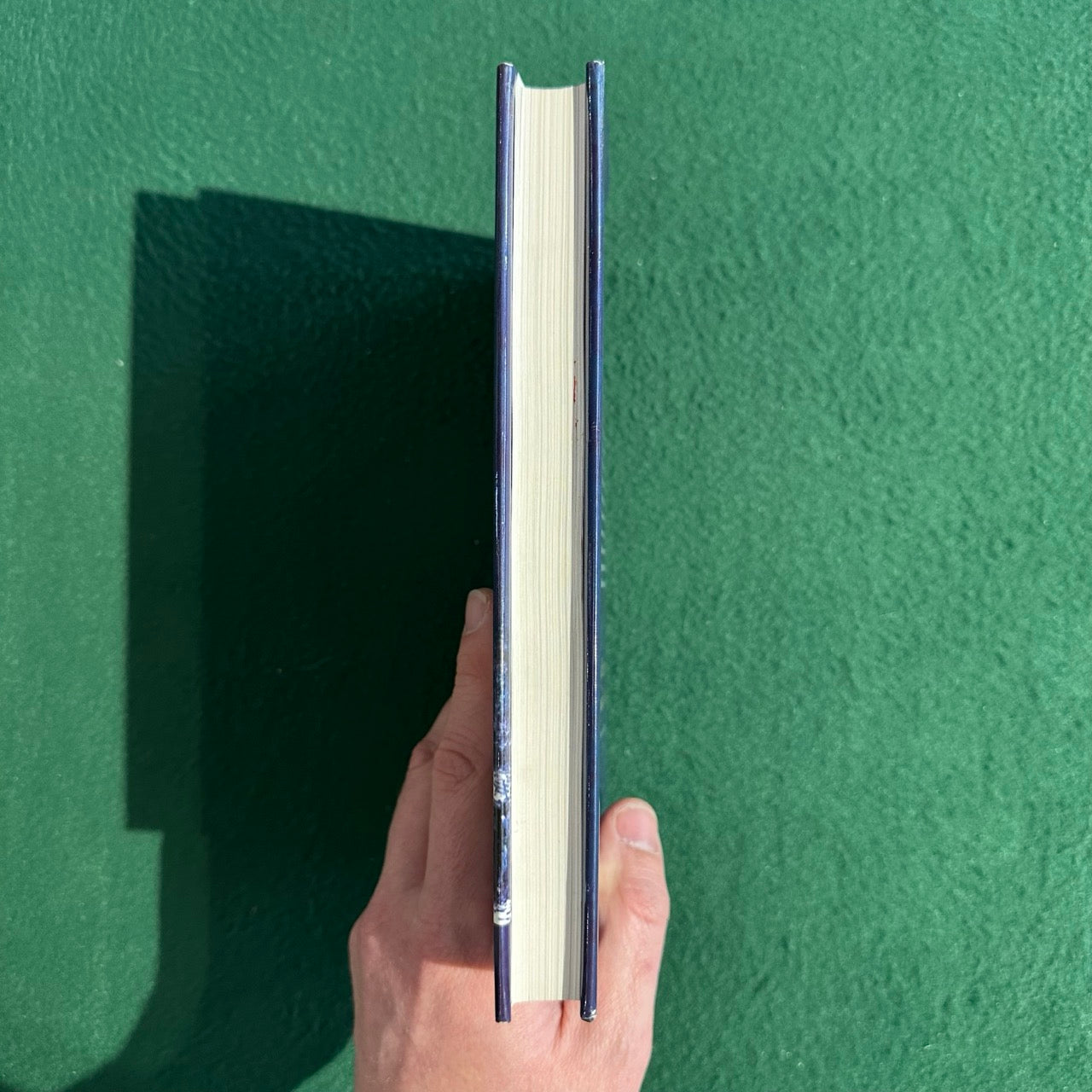 Non-Fiction Hardback: Lance J Herdegen - Those Damn Black Hats! FIRST EDITION