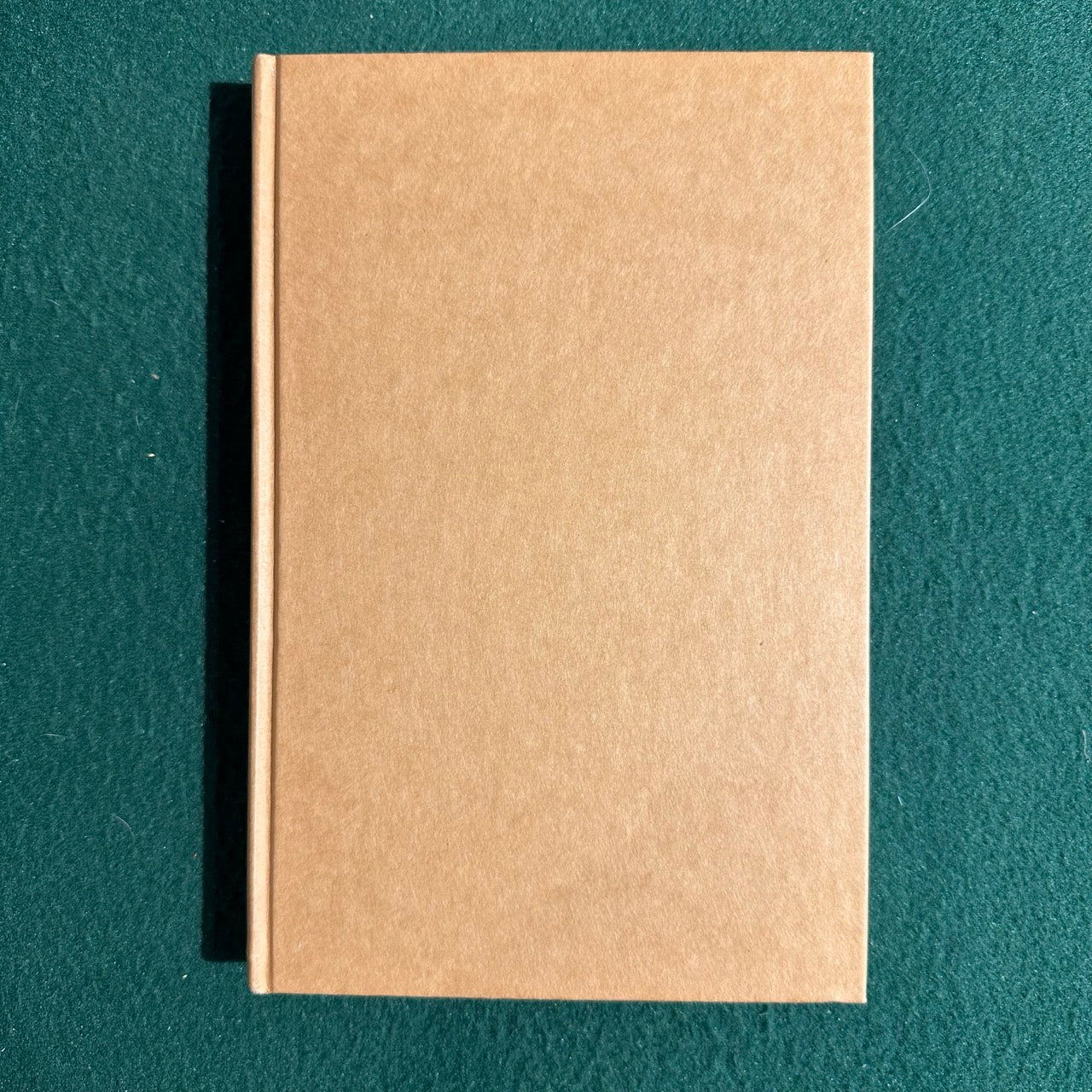 Vintage Fantasy Hardback: Terry Pratchett - Sourcery BCE
