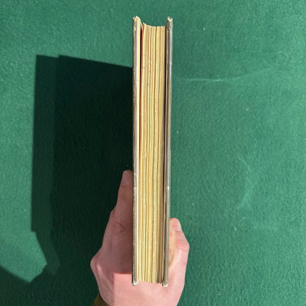 Vintage Fiction Hardback: Annie Dillard - Pilgrim at Tinker Creek FIRST EDITION