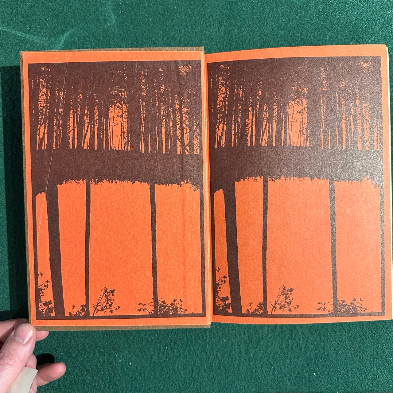 Vintage Fiction Hardback: Annie Dillard - Pilgrim at Tinker Creek FIRST EDITION