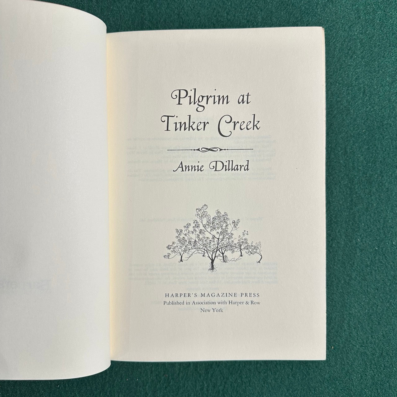 Vintage Fiction Hardback: Annie Dillard - Pilgrim at Tinker Creek FIRST EDITION