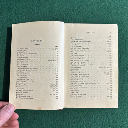 Antique Fiction Hardback: A Fourth Reader - Stickney Classic Series