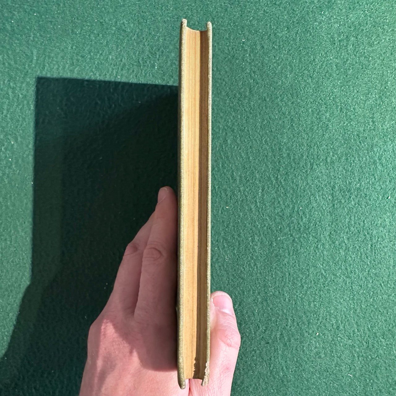 Antique Fiction Hardback: The New McGuffey Fourth Reader