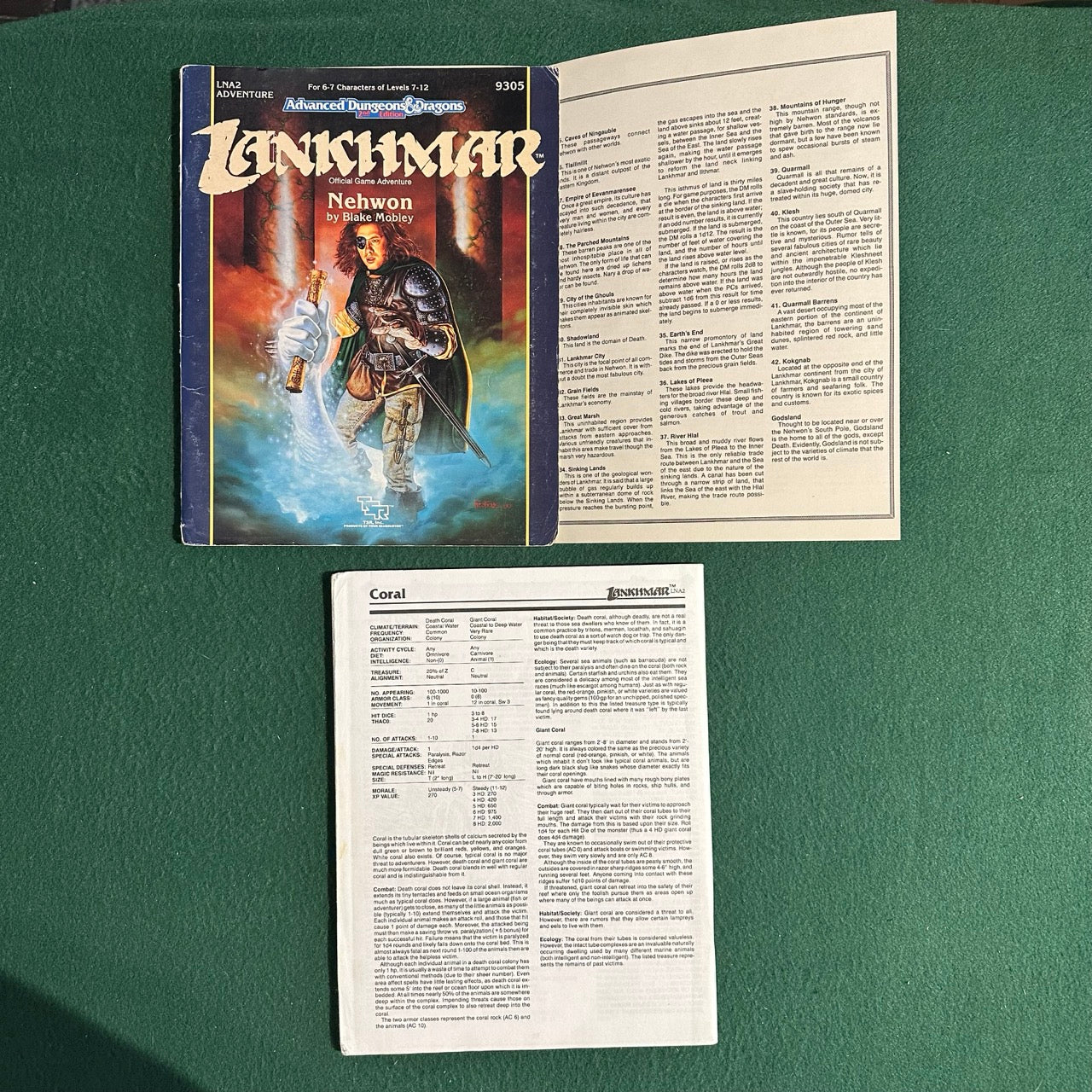 Vintage Advanced Dungeons & Dragons 2e Adventure: Lankhmar: Nehwon