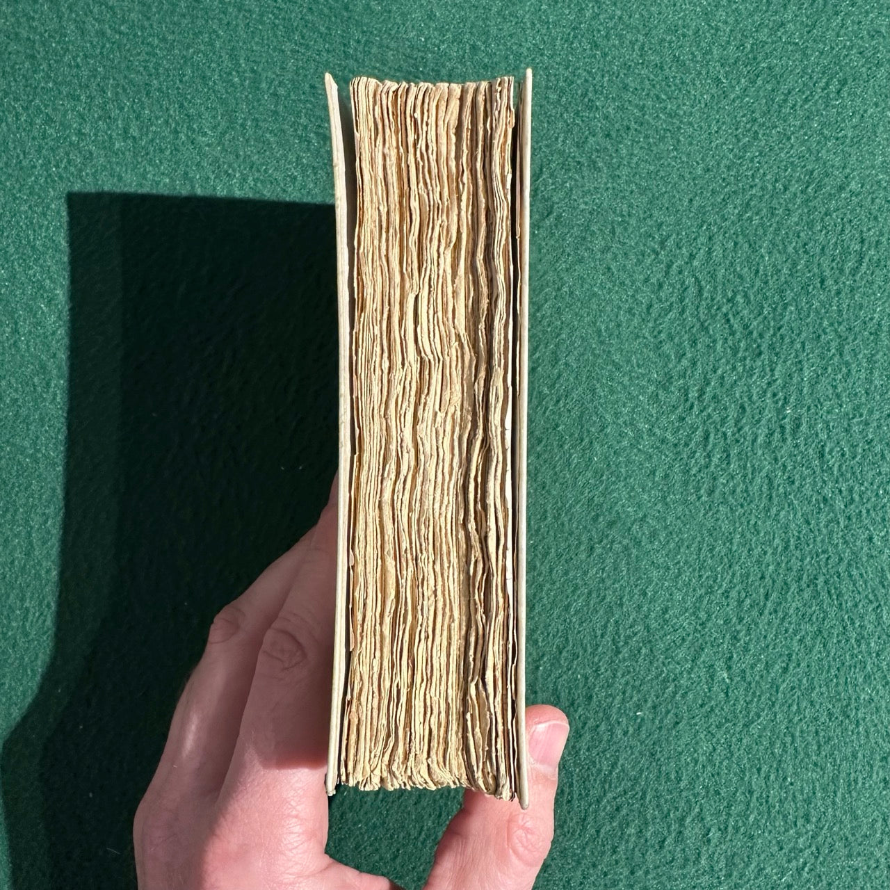 Antique Fiction Hardback: Thomas De Quincey - Confessions of and English Opium-Eater 1885 REPRINT