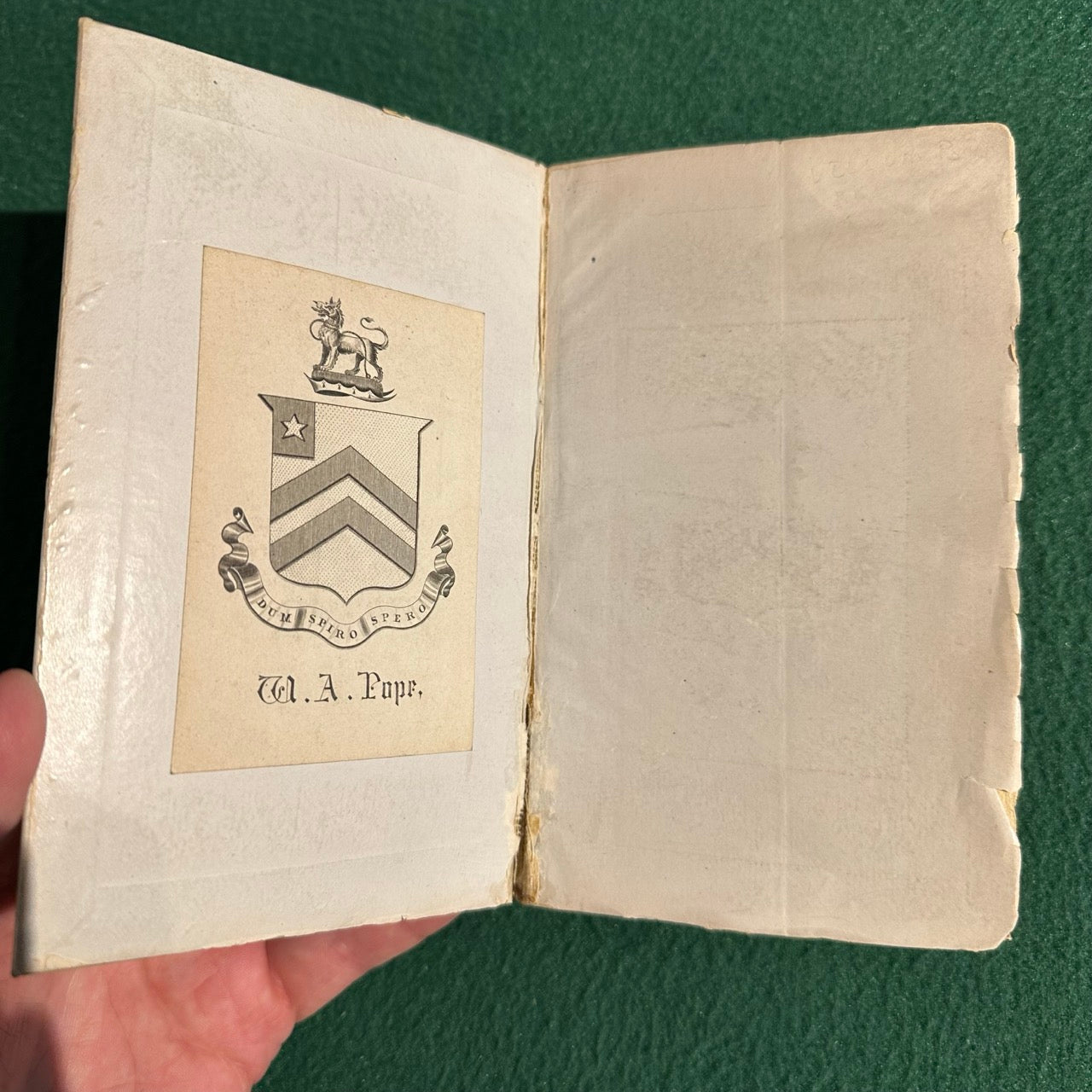 Antique Fiction Hardback: Thomas De Quincey - Confessions of and English Opium-Eater 1885 REPRINT