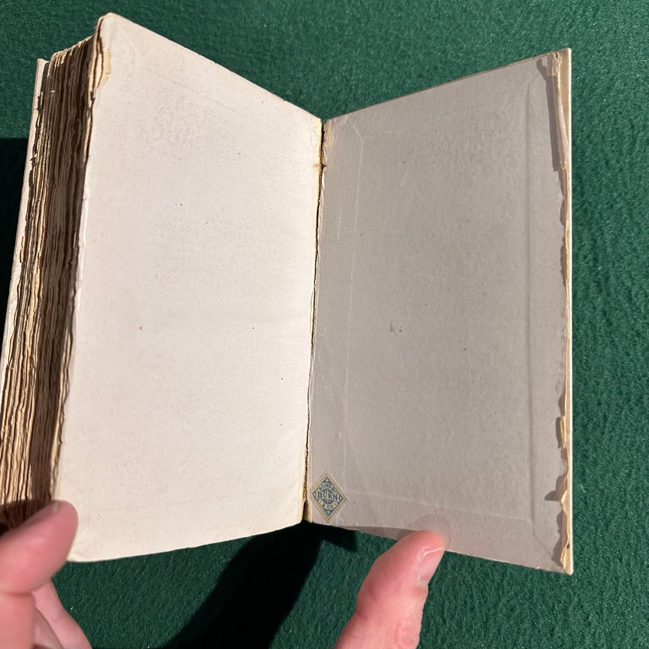 Antique Fiction Hardback: Thomas De Quincey - Confessions of and English Opium-Eater 1885 REPRINT