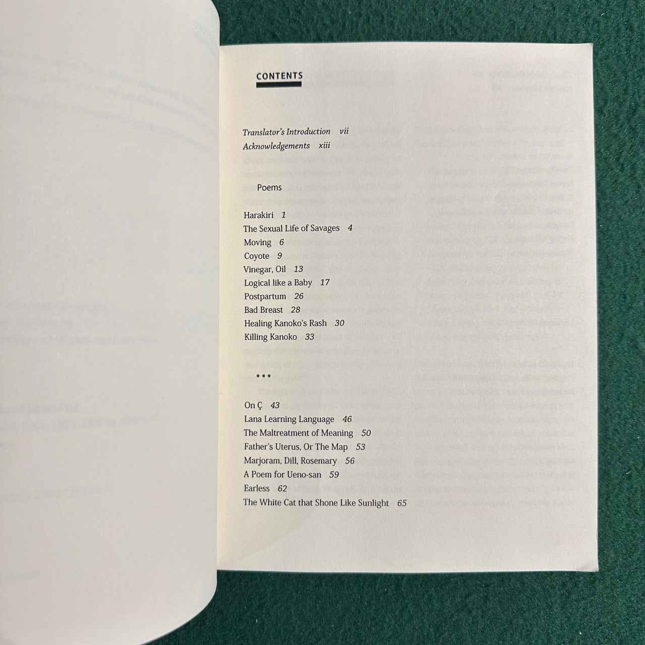 Poetry Paperback: Hiromi Ito - Killing Kanoko FIRST EDITION