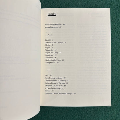 Poetry Paperback: Hiromi Ito - Killing Kanoko FIRST EDITION