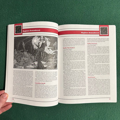 Vintage Advanced Dungeons & Dragons 2e Accessory: Forgotten Realms: Secrets of the Magister