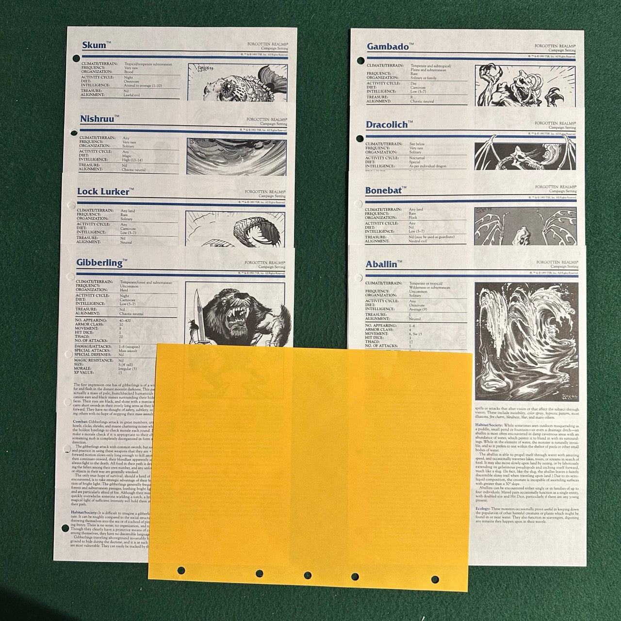 Advanced Dungeons & Dragons 2e Boxset: Forgotten Realms: Campaign Setting, New Edition 1085 COMPLETE