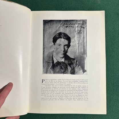 Vintage Art Hardback: Picasso Peintures Epoques Bleue et Rose