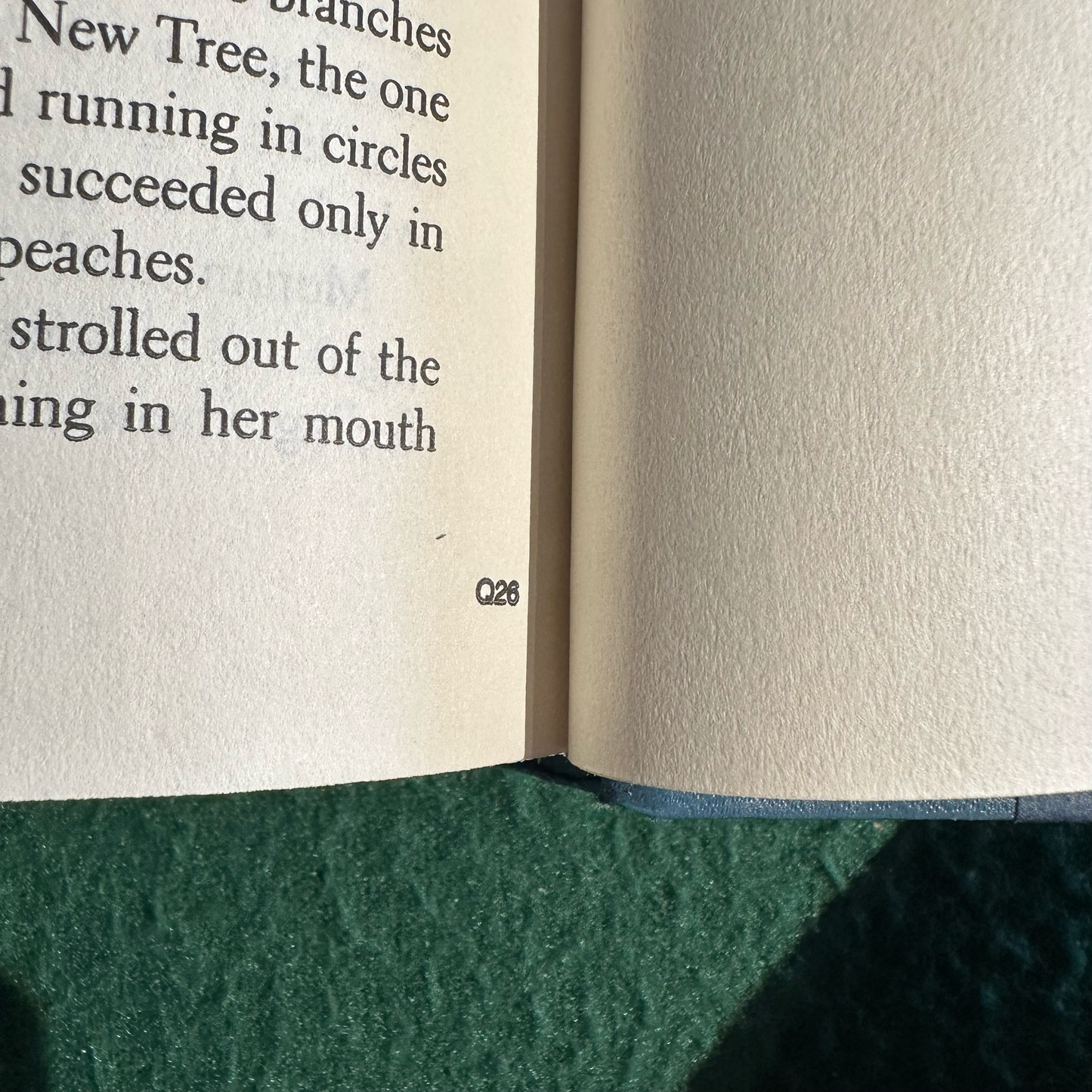 Vintage Horror Hardback: F Paul Wilson - The Touch BCE