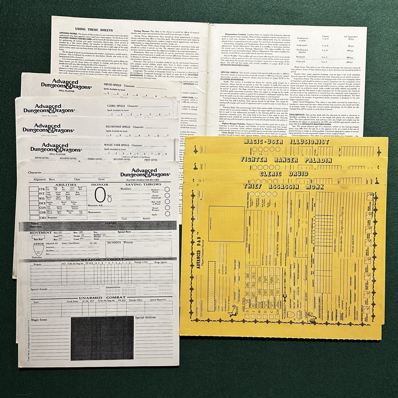Vintage Dungeons & Dragons Accessory: AD&D - Player Character Record Sheets INCOMPLETE