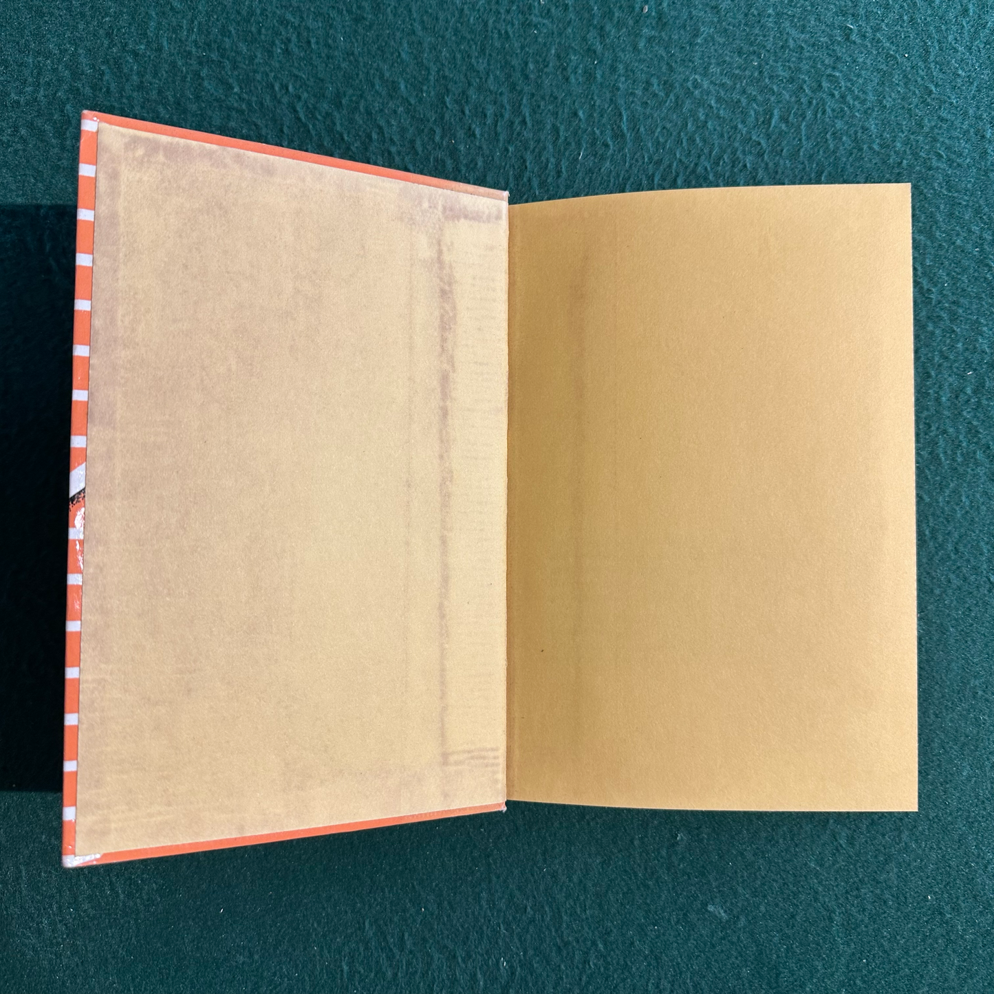 Vintage Non-Fiction Hardback: Mark and Roberta Ames - Barbecues!
