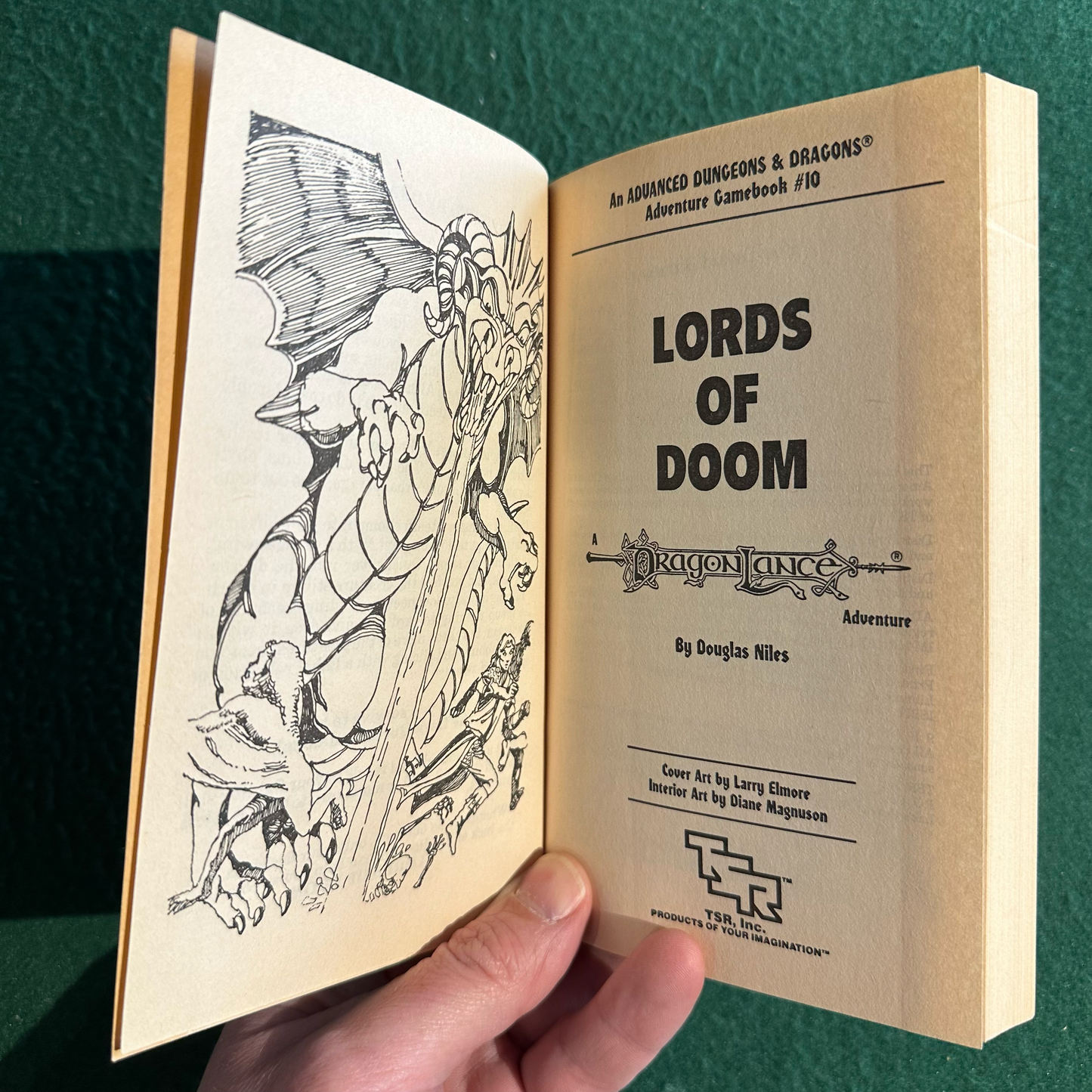 Vintage Dungeons & Dragons Paperback: Douglas Niles - Lords of Doom FIRST PRINTING