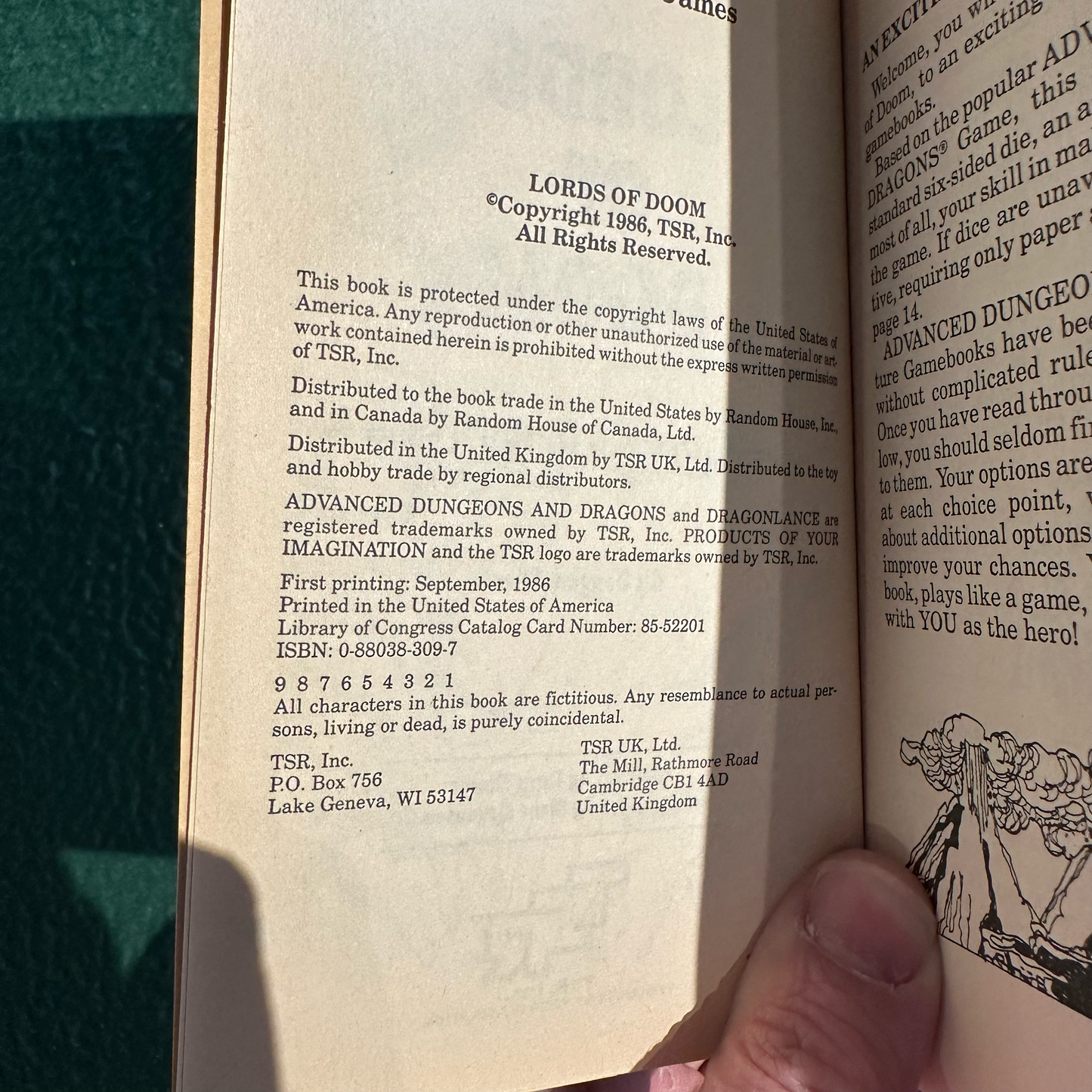 Vintage Dungeons & Dragons Paperback: Douglas Niles - Lords of Doom FIRST PRINTING