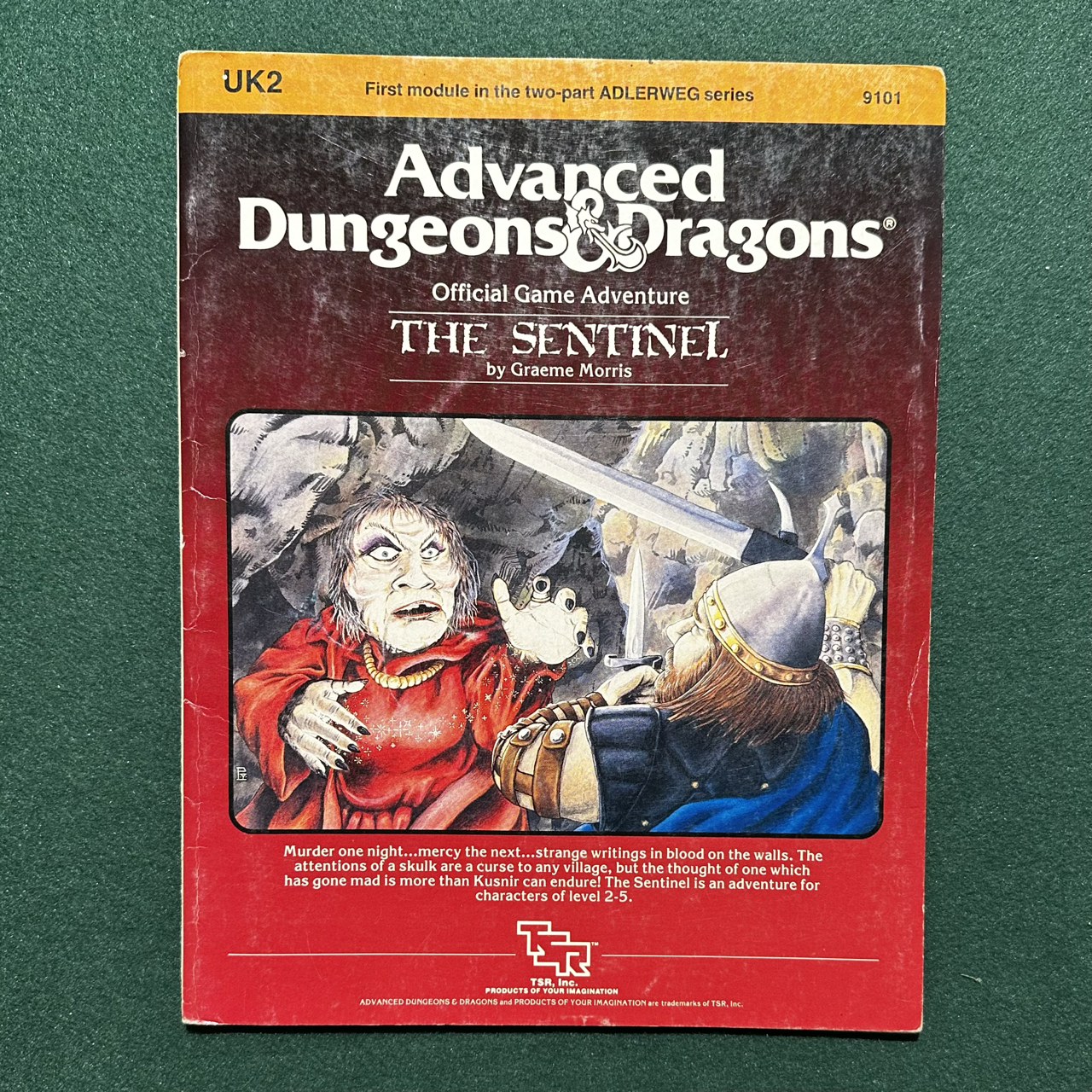 Vintage Dungeons & Dragons Adventure: AD&D The Sentinel
