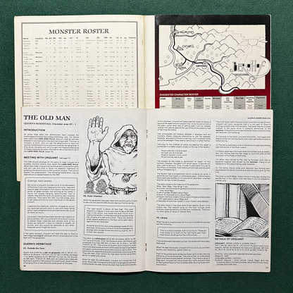 Vintage Dungeons & Dragons Adventure: AD&D The Sentinel